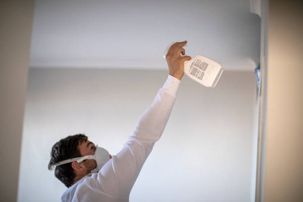 Best Kitchen Mold Remediation in Deans, NJ