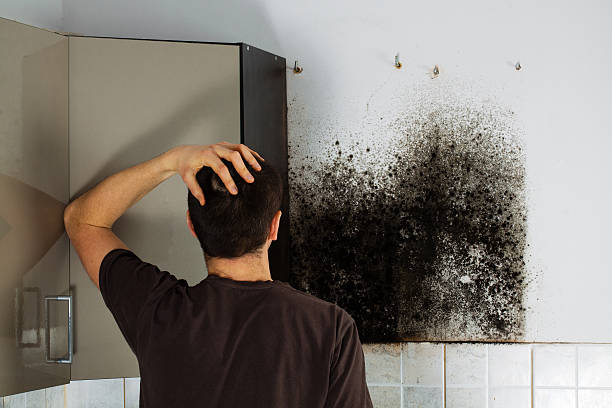 Deans, NJ Mold Remediation Company